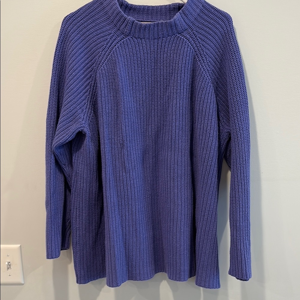 Woman within Blue and Purple Crew Neck Sweater